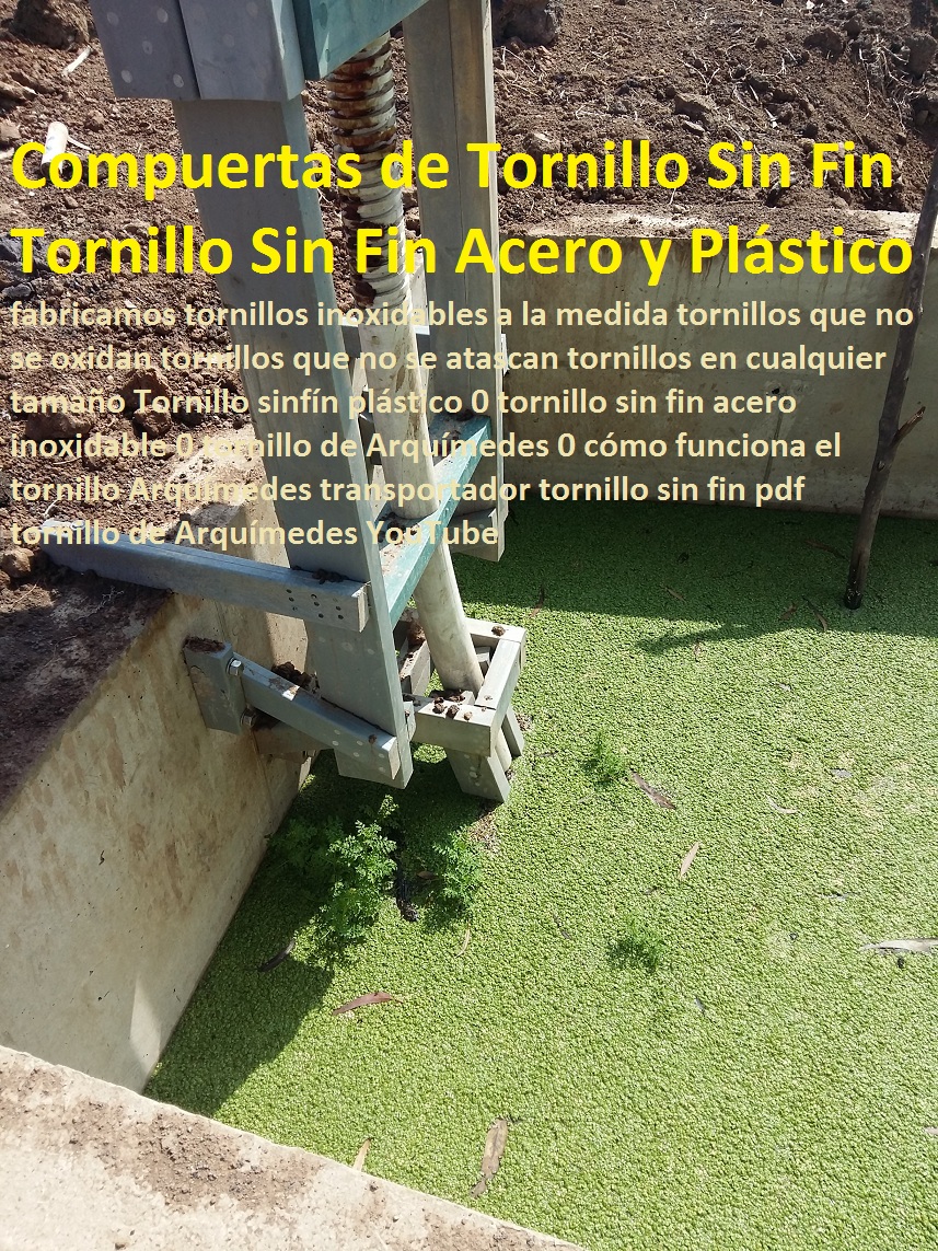 Tornillo sinfín plástico 0 tornillo sin fin acero inoxidable 0 tornillo de Arquímedes 0 cómo funciona el tornillo Arquímedes transportador tornillo sin fin pdf tornillo de Arquímedes YouTube Tornillo sinfín plástico 0 tornillo sin fin acero inoxidable 0 tornillo de Arquímedes 0 cómo funciona el tornillo Arquímedes transportador tornillo sin fin pdf tornillo de Arquímedes YouTube 0 Tornillo sinfín plástico 0 tornillo sin fin acero inoxidable 0 tornillo de Arquímedes 0 cómo funciona el tornillo Arquímedes transportador tornillo sin fin pdf tornillo de Arquímedes YouTube